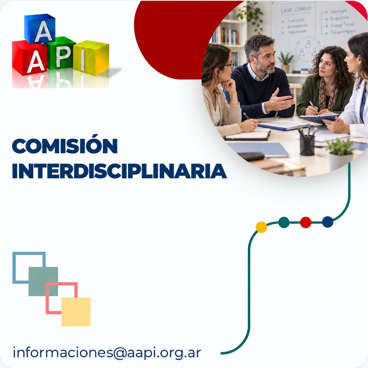 Comisión Interdisciplinaria
